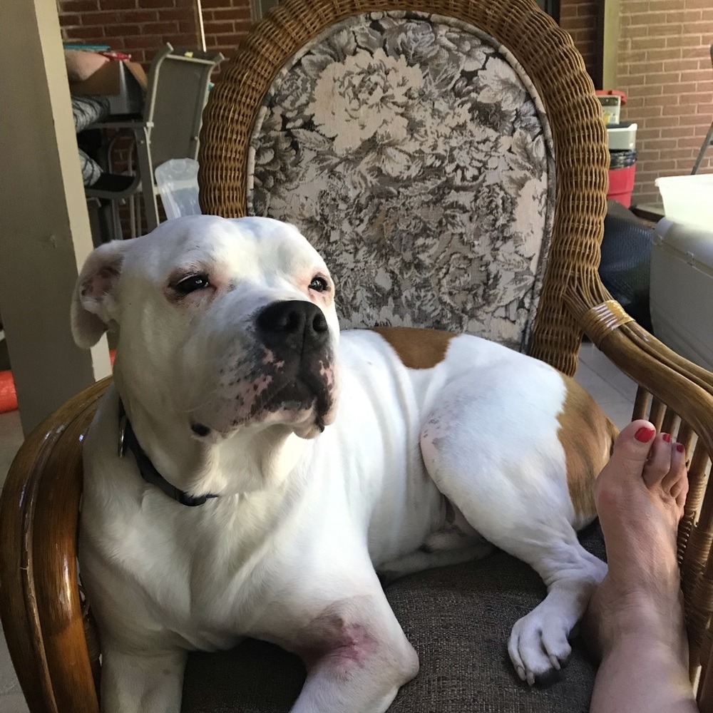 Meet your Posher, Michele